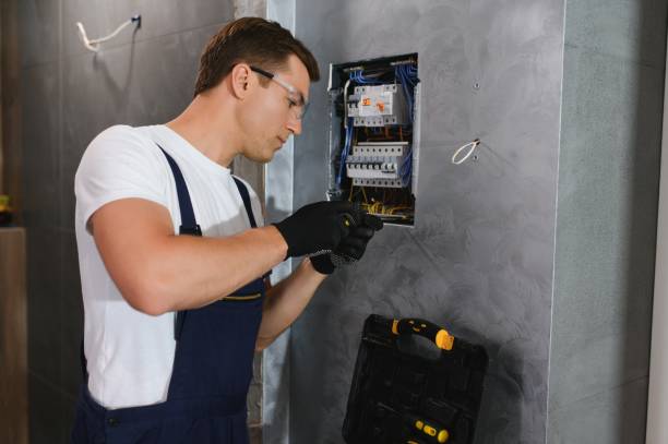Best Electric Panel Repair  in Festus, MO